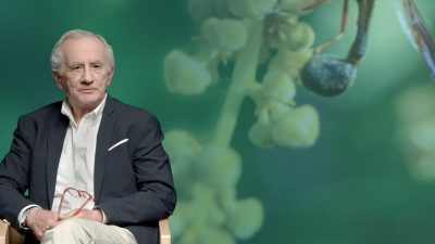 No t’agraden els insectes? La teva supervivència en depèn